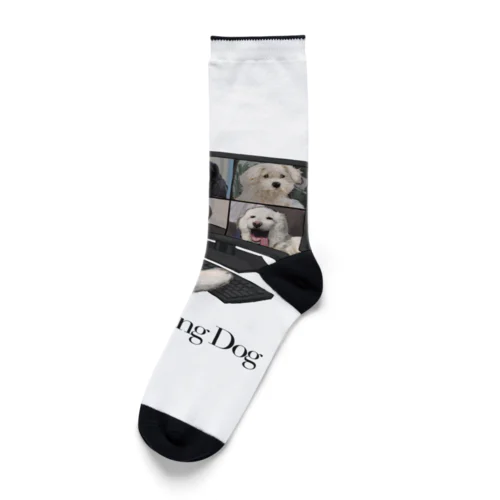 Teleworking Dog Socks