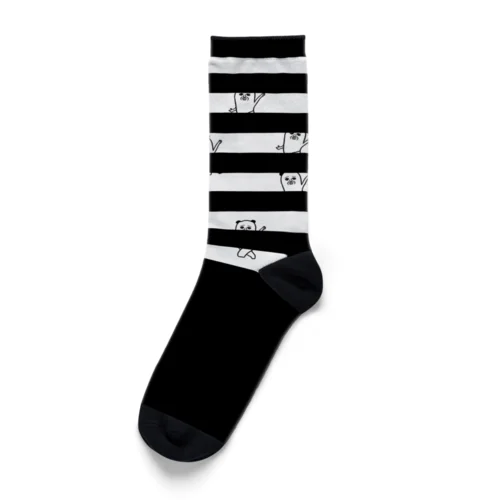 しましまソックス Socks