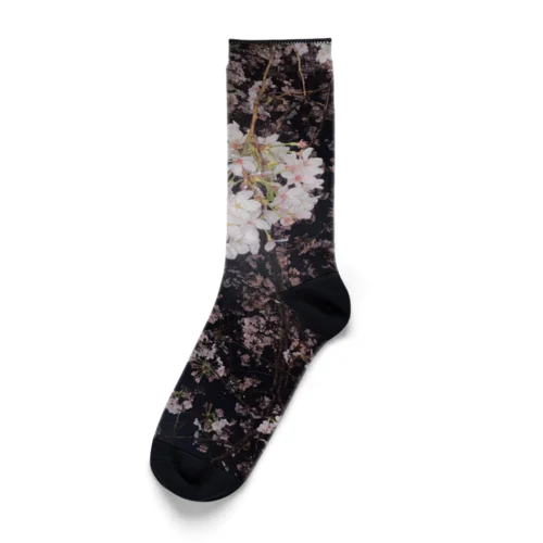 桜 Socks