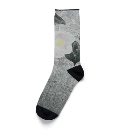 白椿 Socks