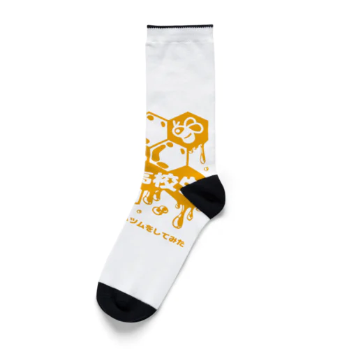 とある高校生ソックス Socks