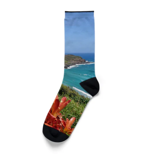 カウアイ島の大地 Socks
