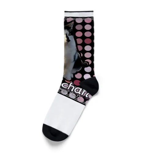 ドットハナちゃん⚫⚪⚫⚪ Socks