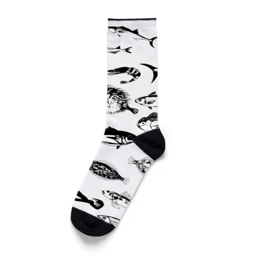 海の魚柄 Socks