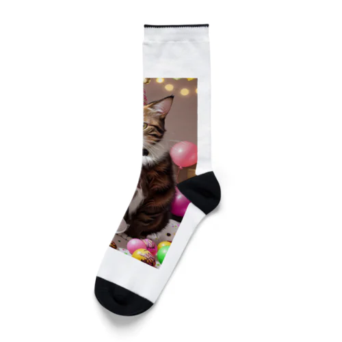 パーティーキャット265 Socks