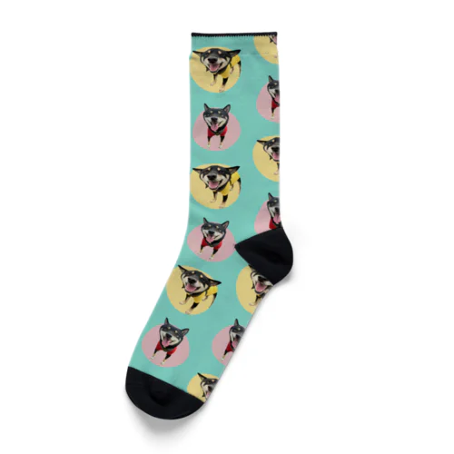 Happy Mame Kuro Socks ソックス