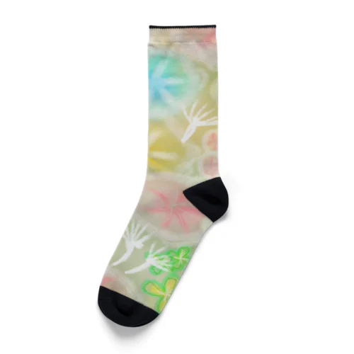 珪藻 Socks