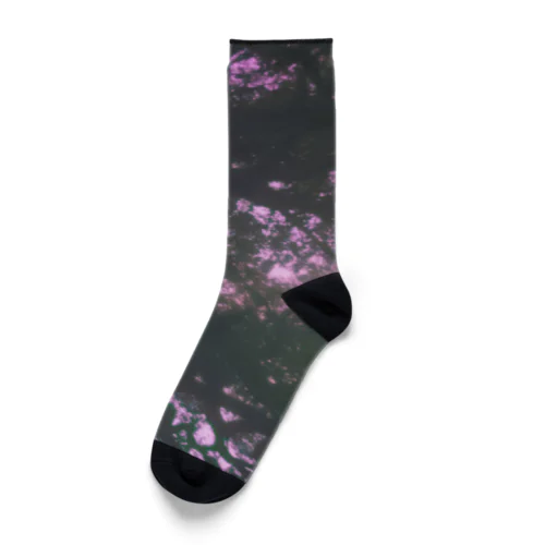 Sacred tree Socks