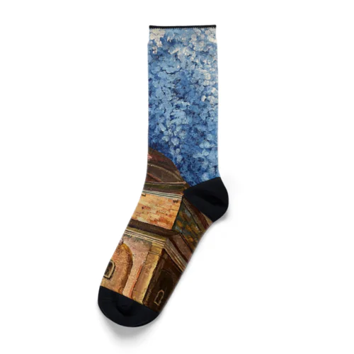 Basilica San Lorenzo  Socks