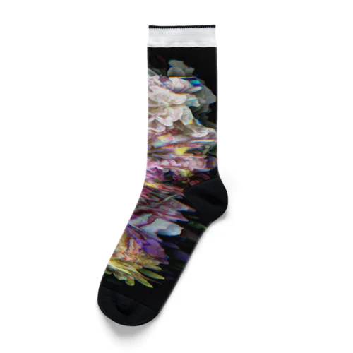 華 Socks