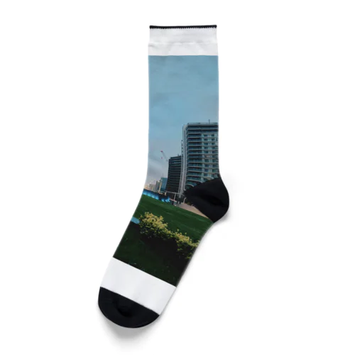 SAIKAIHATSU Socks