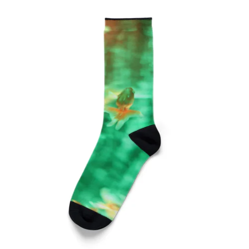 台湾の夢　タイダイ金魚 Socks