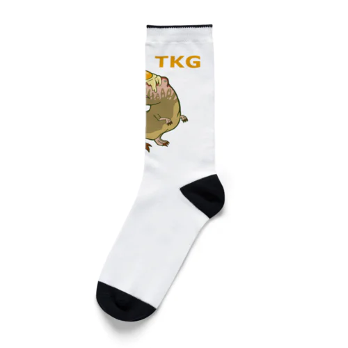 卵かけギガノトサウルス Socks