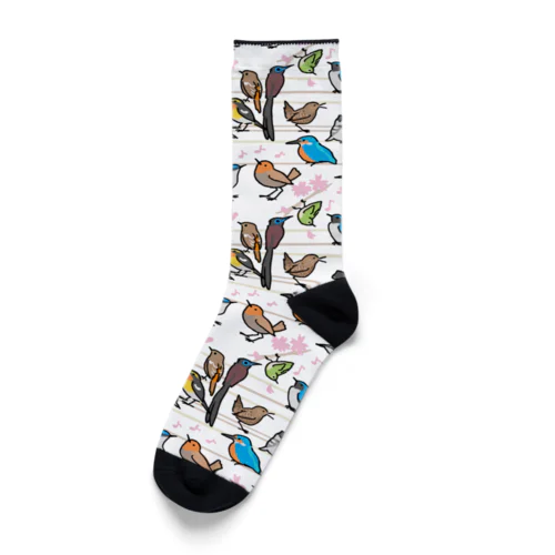 わちゃわちゃ Socks