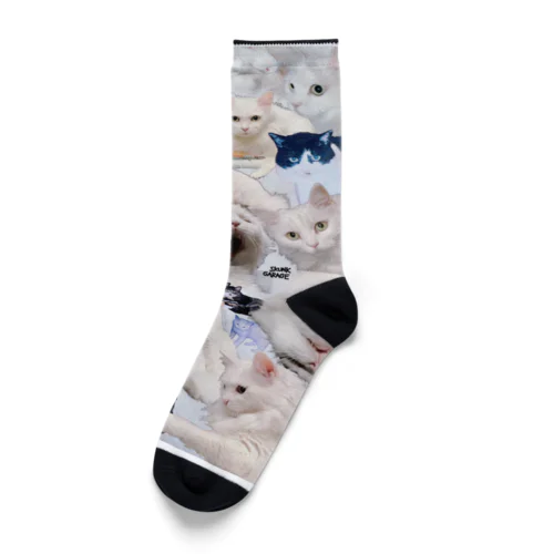 ろびやまろびお Socks