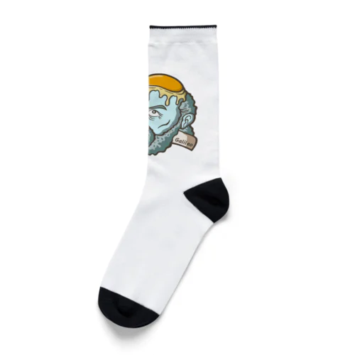 卵かけガリレオ Socks