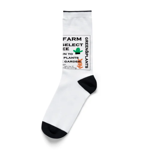 KIMIDORI FARM kewl green Socks