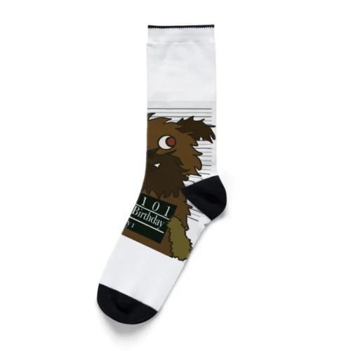 birthday dog　#0101 Socks