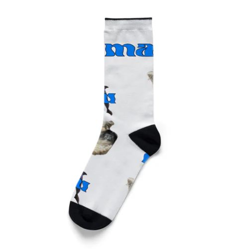 inu  Socks