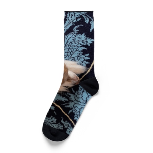 レオ Socks