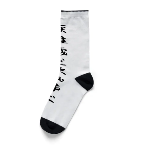 徳川家康の軍旗 Socks