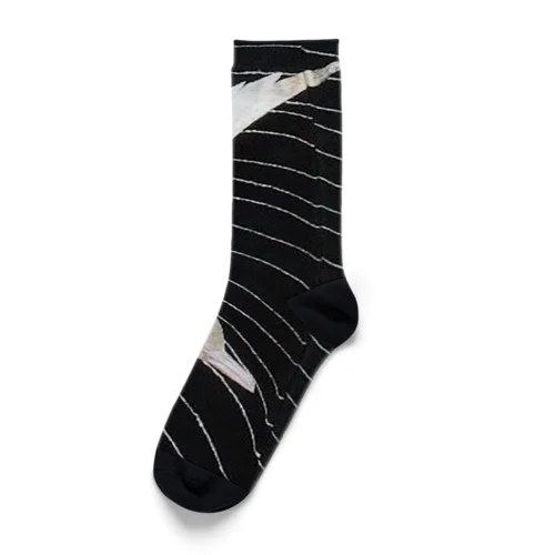 黒と白　水鳥の柄 Socks