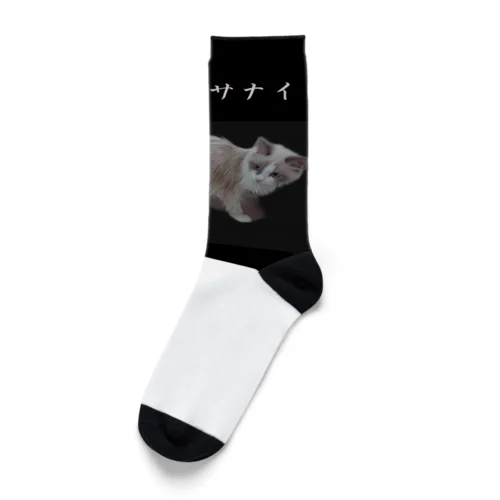 こはねこ Socks