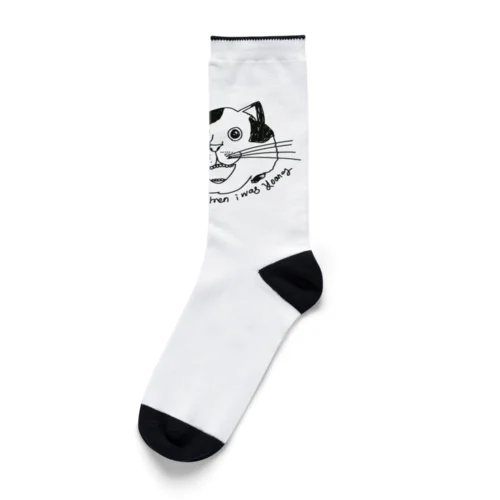 when i was young (socks) ソックス