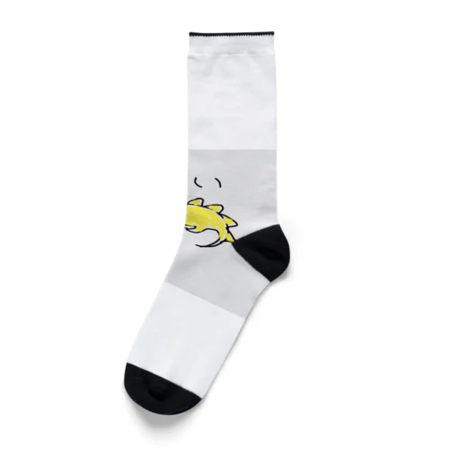 ステゴザウルスくん Socks