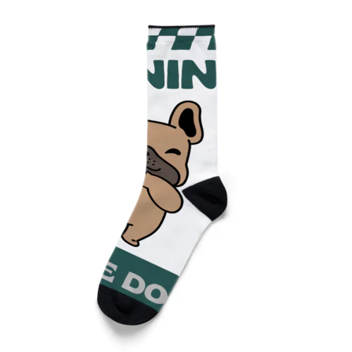 番犬になるかな？ドッグくん2 Socks