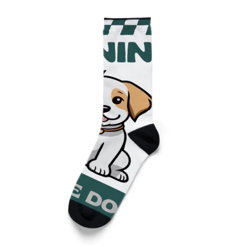 番犬になるかなドッグくん3 Socks