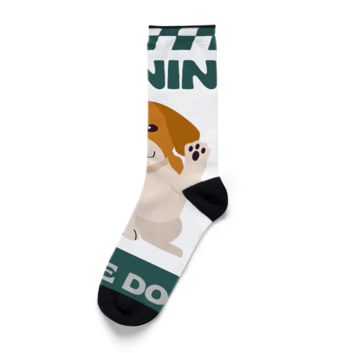 番犬になるかなドッグくん Socks