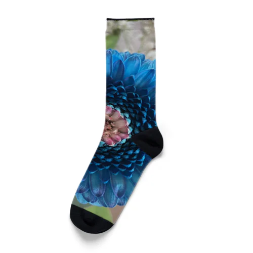 blue flower  Socks