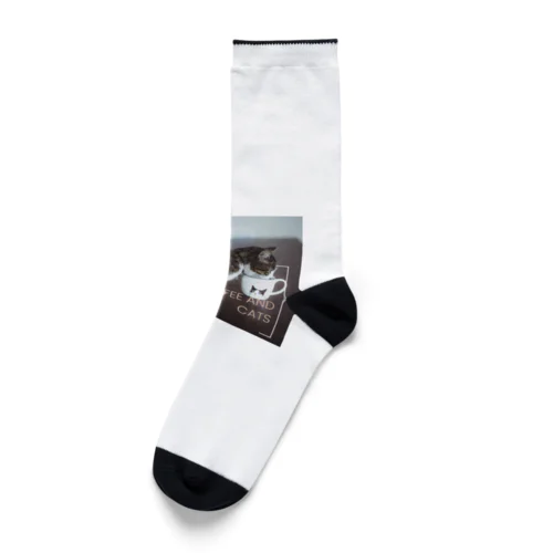 コーヒー猫 Socks