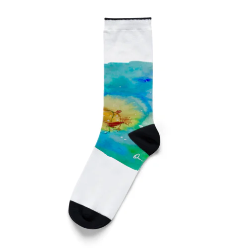 はこふぐ太　(小物) Socks