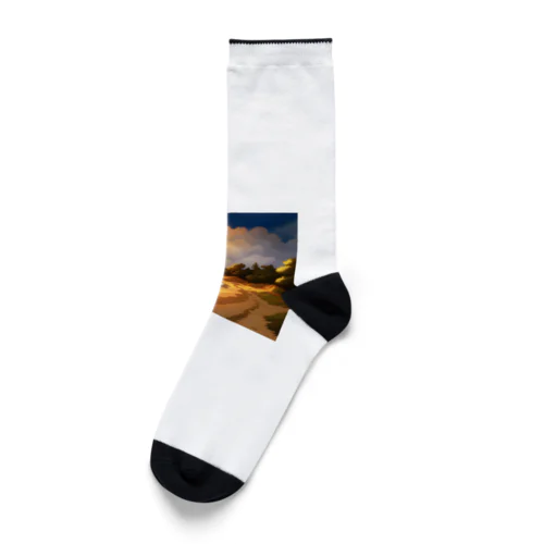 夕方の海辺 Socks