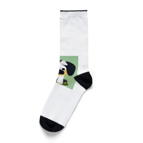 かわわん Socks