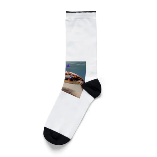 OPEN　SEA Socks