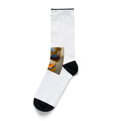 猫にサングラス Socks