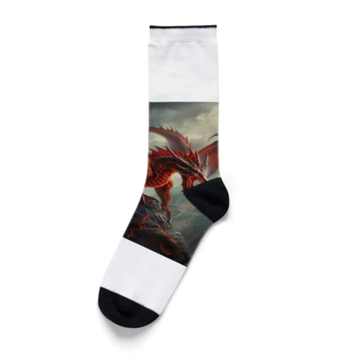 古代の火竜 Socks