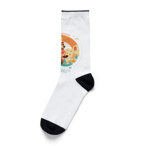 クマメール便 Socks