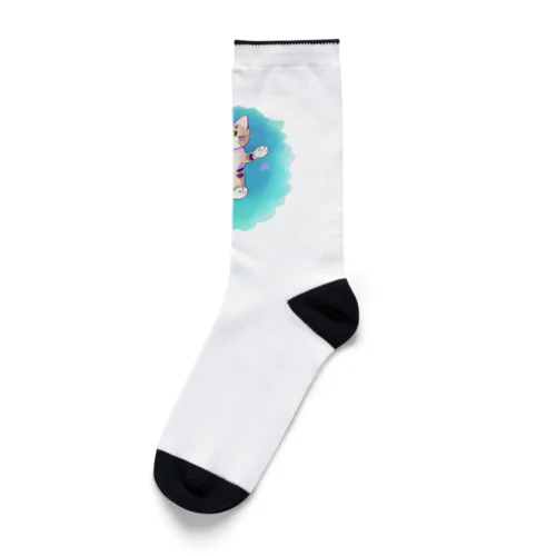 猫の大ジャンプ Socks