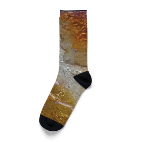 『胡蝶の夢　mango orange』 Socks