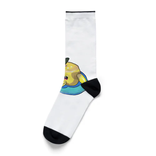 ぷりんぜりー Socks