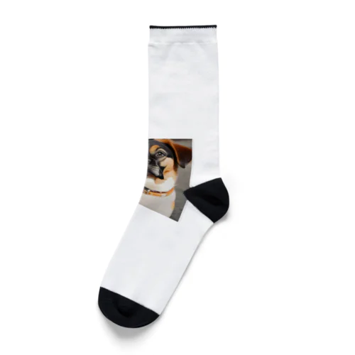 かわいい犬 Socks