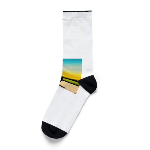 ビンテージスポーツスター Socks