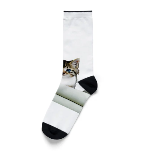 子猫の微笑み、心のオアシス Socks