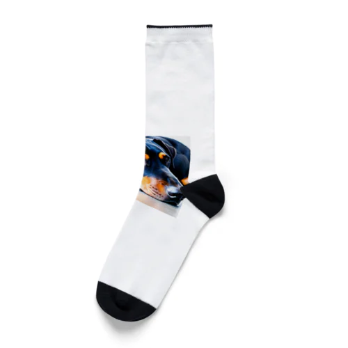 タレミミドーベルマン Socks