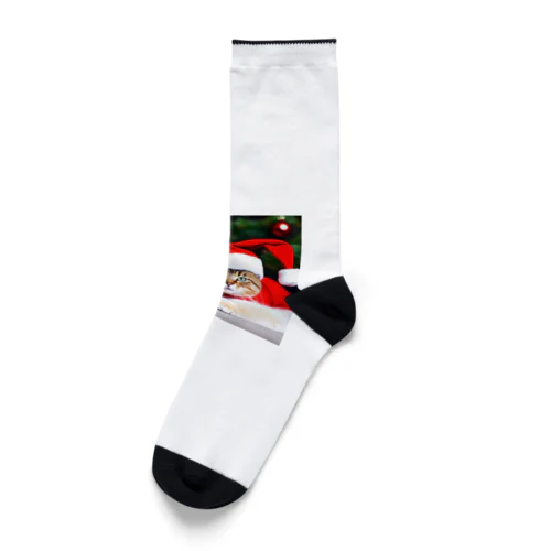 サンタクロース猫 Socks