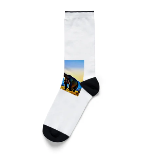 ブラキオサウルス Socks